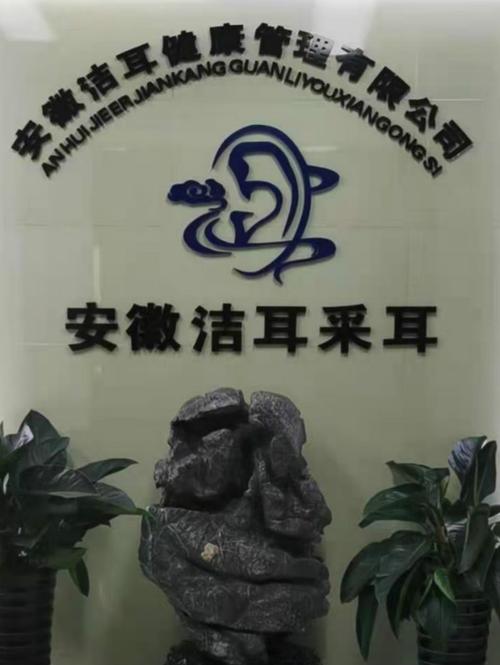 美丽从“头”开始，健康从“耳”入微——解码美容美发与耳道保健的融合新风尚